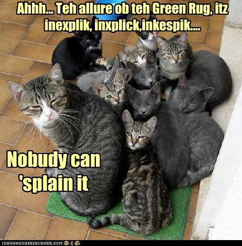 Ahhh... Teh allure ob teh Green Rug, itz inexplik, inxplick,inkespik....