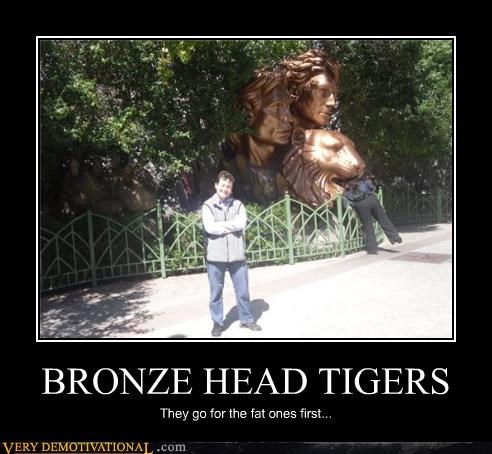 BRONZE HEAD TIGERS