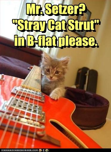 Mr. Setzer?  "Stray Cat Strut"  in B-flat please.