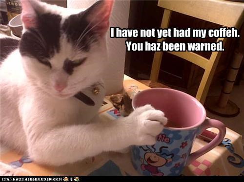 I have not yet had my coffeh.  You haz been warned.