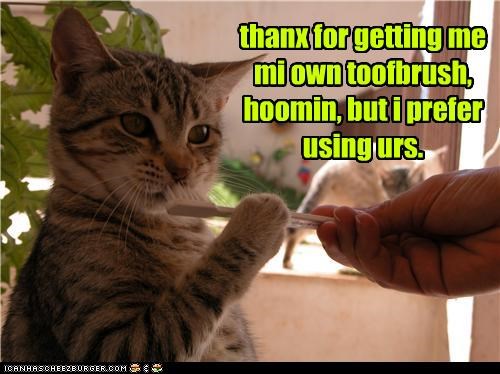 thanx for getting me mi own toofbrush, hoomin, but i prefer using urs.