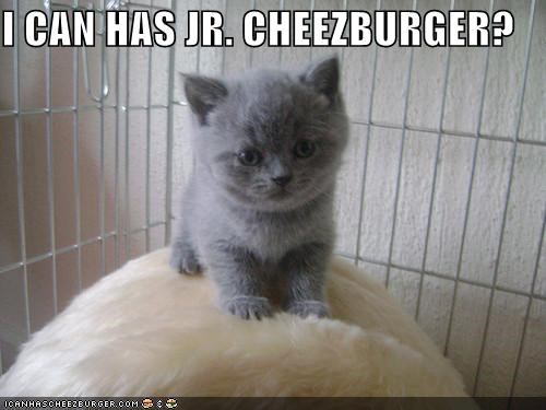 I CAN HAS JR. CHEEZBURGER?