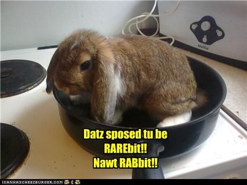 Datz sposed tu be RAREbit!! Nawt RABbit!!