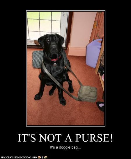 IT'S NOT A PURSE!