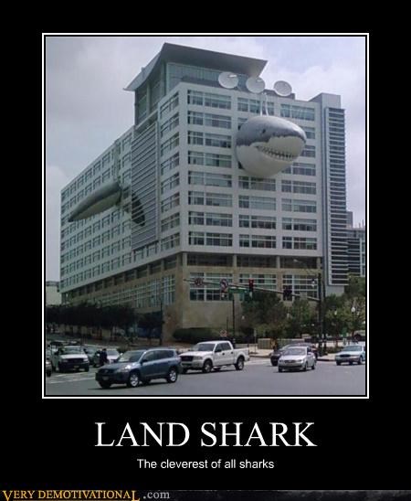 building,clever girl,land shark,sharks,Terrifying,wtf