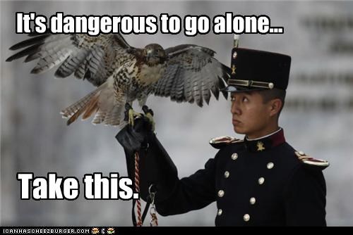 Bird of prey are the perfect weapon.