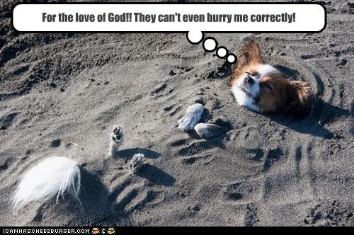 For the love of God!! They can't even burry me correctly!