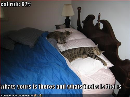cat rule 67#  whats yours is theres and whats theirs is theirs