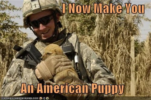 I Now Make You   An American Puppy