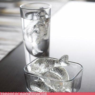 Koi Fish Ice Cube Tray