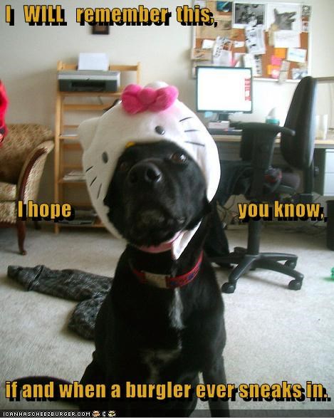 I   WILL   remember  this,     I hope                                         you know,  if and when a burgler ever sneaks in.