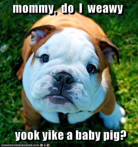 mommy,  do  I  weawy         yook yike a baby pig?