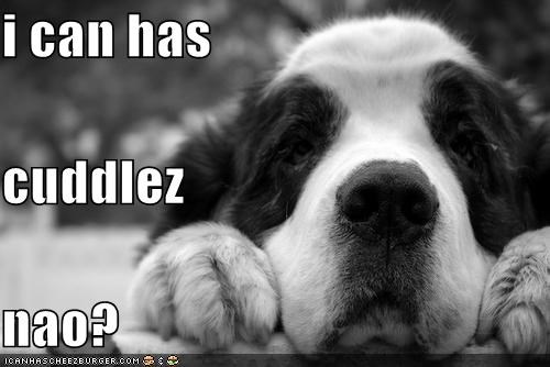 i can has cuddlez nao?