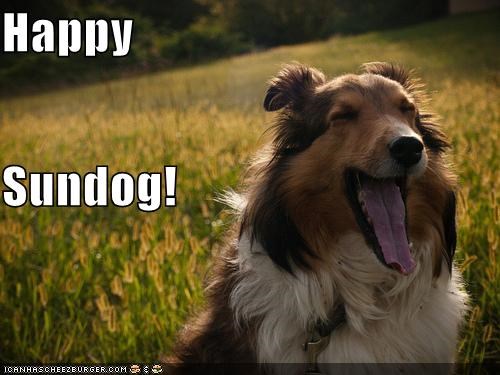 Happy Sundog!