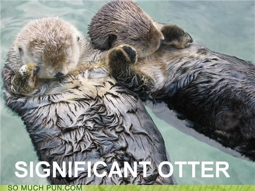 There is no otter way