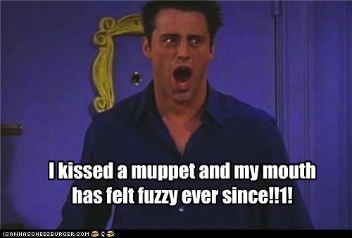I kissed a muppet and my mouth has felt fuzzy ever since!!1!