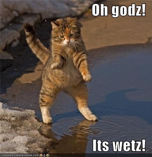 Oh godz!  Its wetz!