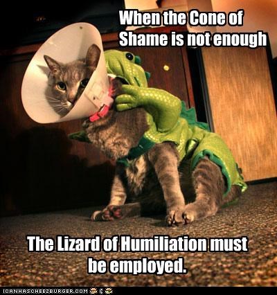 When the Cone of Shame is not enough