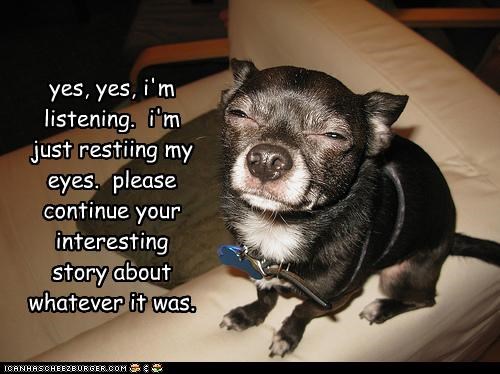 yes, yes, i'm listening.  i'm just restiing my eyes.  please continue your interesting story about whatever it was.