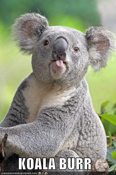 Dis Eucalyptus Turrste Funny  