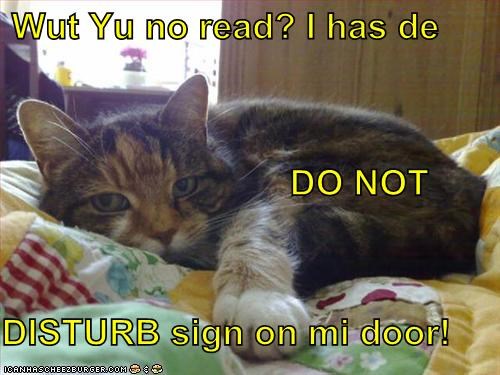 Wut Yu no read? I has de                              DO NOT DISTURB sign on mi door!