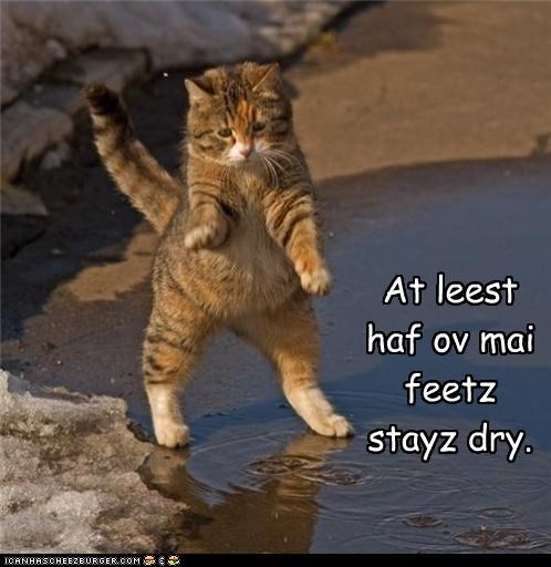 At leest haf ov mai 
feetz 
stayz dry.