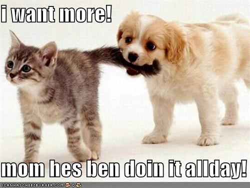 i want more!  mom hes ben doin it allday!