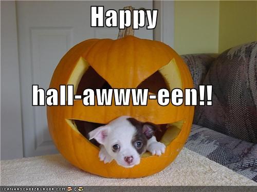 Happy hall-awww-een!!