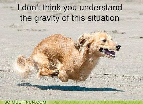 What, You Think You're Above Physics?
