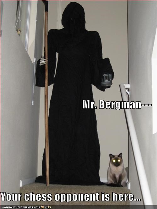 Mr. Bergman