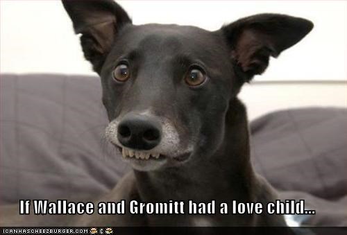 If Wallace and Gromitt had a love child...