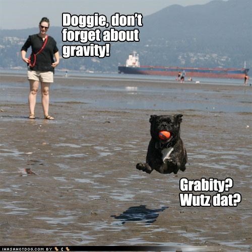 Doggie, don't forget about gravity!