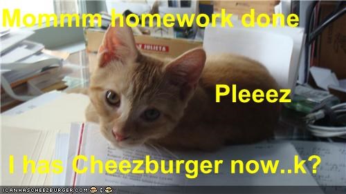 Mommm homework done                                Pleeez   I has Cheezburger now..k?