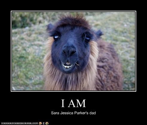 I AM