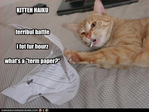 KITTEH HAIKU   terribul battle  i fot fur hourz  what's a "term paper?"