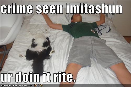 crime seen imitashun  ur doin it rite.