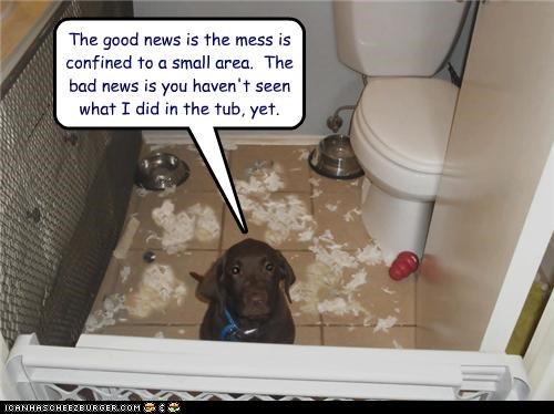 The good news is the mess is confined to a small area.  The bad news is you haven't seen what I did in the tub, yet.