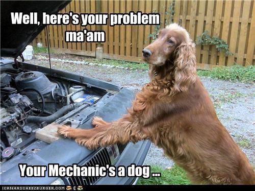 Well, here's your problem ma'am