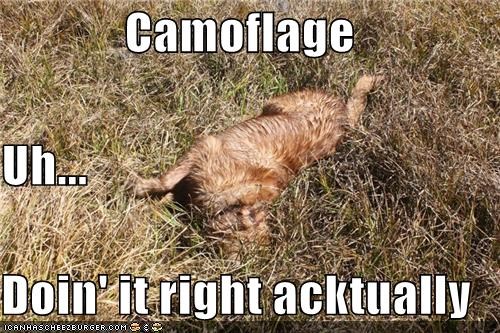 Camoflage Uh... Doin' it right acktually