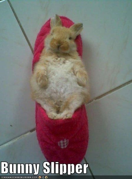 Bunny Slipper