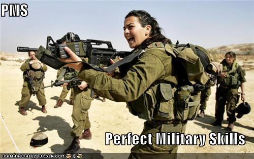 PMS  Perfect Military Skills