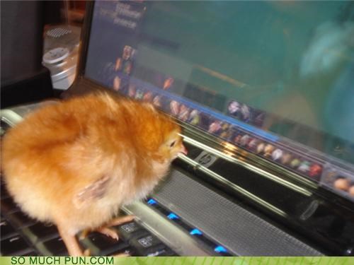Gamer Chick