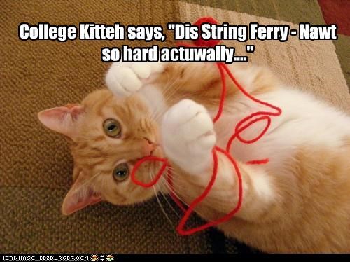 College Kitteh says, "Dis String Ferry - Nawt so hard actuwally...."