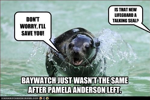 BAYWATCH JUST WASN'T THE SAME AFTER PAMELA ANDERSON LEFT.