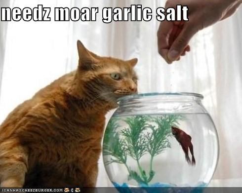 needz moar garlic salt