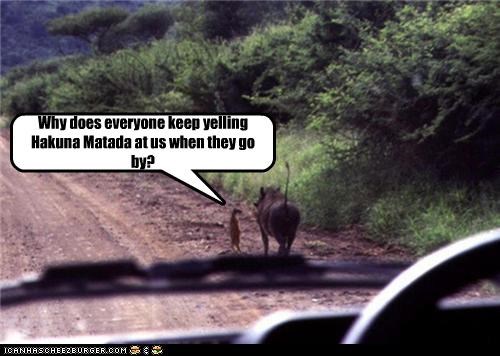 Why does everyone keep yelling Hakuna Matada at us when they go by?