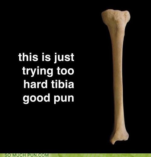 And it Isn't Humerus at All!