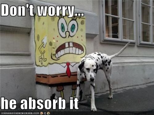 Don't worry...  he absorb it