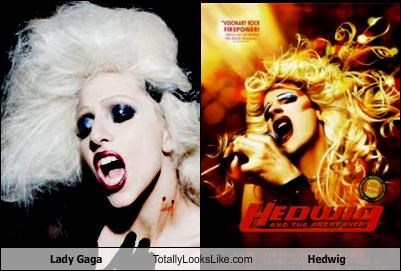 Lady Gaga Totally Looks Like Hedwig