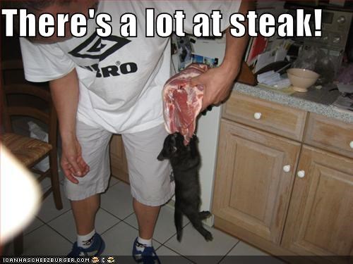 There's a lot at steak!